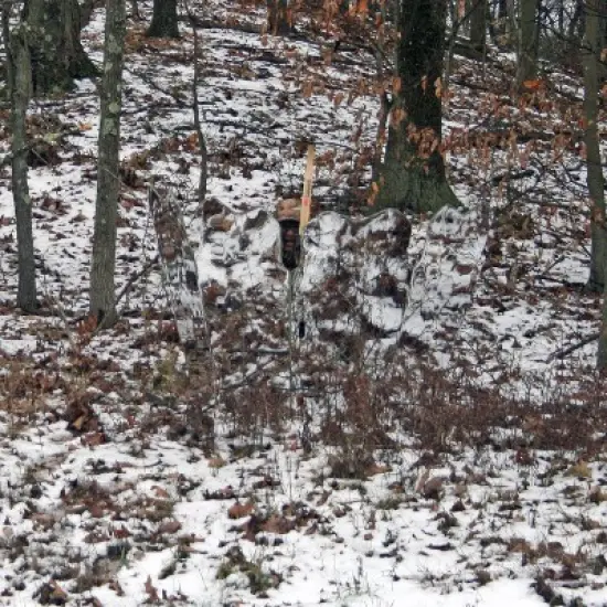 GhostBlind Predator Blind, Pop-Up Mirror Ground Hunting Blind image {5}