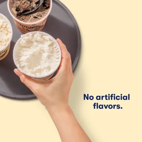 Tillamook Vanilla Bean Frozen Ice Cream - 16 fl oz image {4}