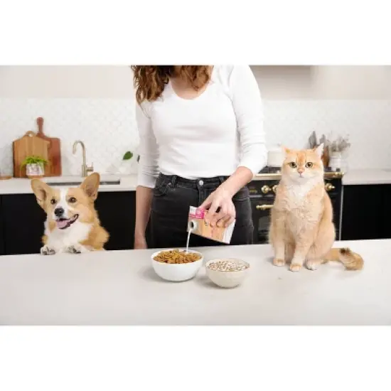 Brutus Bone Broth Gut Health Support Goat's Milk Flavor Dog and Cat Vitamins and Supplements - 16 fl oz image {5}