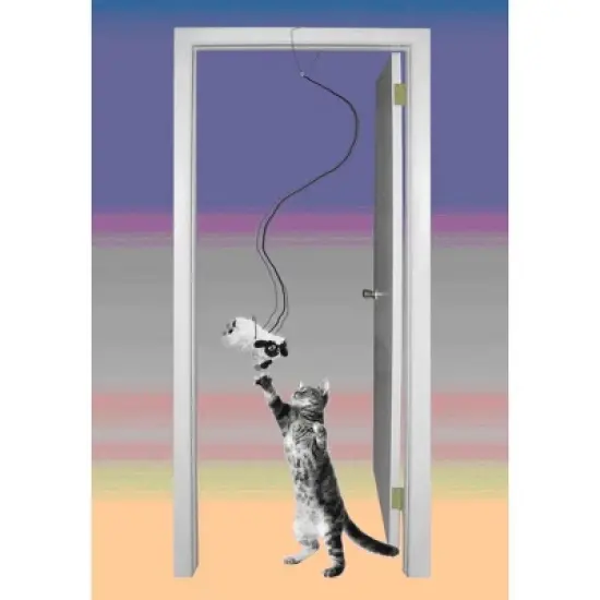 SPOT A-Door-Able Baa Baa Black Sheep Cat Toy image {1}