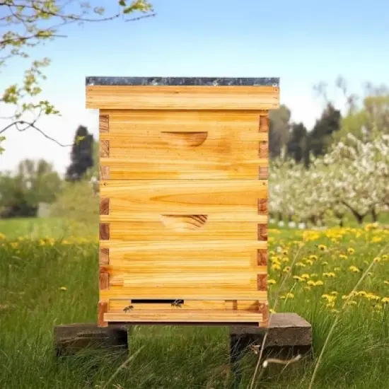 10-Frame Complete Beehive Kit, Wax Coated Bee Hives for Beginner, Includes 1 Deep Box and 1 Medium Bee Box with Beehives Frames and Wax Foundations image {1}