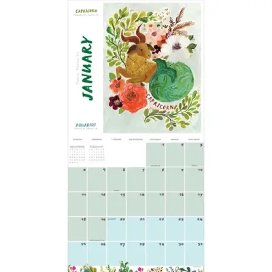 TF Publishing 13.5"x14.5" 2026 Zodiac Wall Calendar image {5}