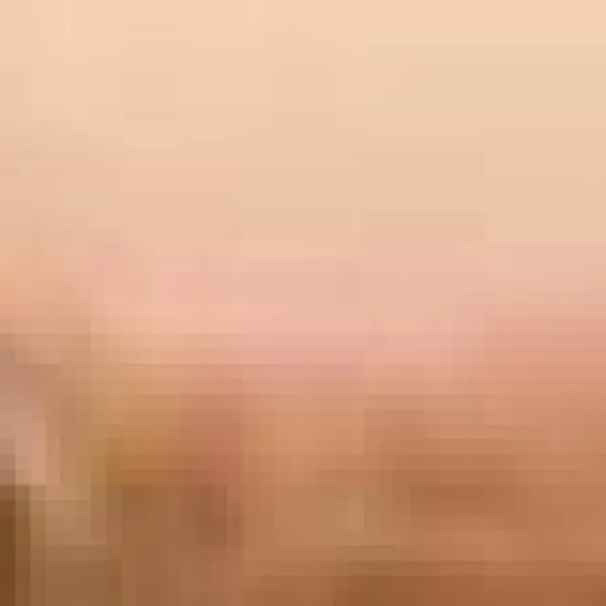 Home Again: A Novel (Paperback) by Kristin Hannah image {1}