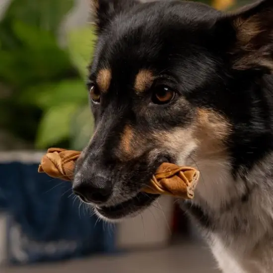 Pet Factory CareChewz Collagen Skinny Braid Sticks - 6-7", 15 Count image {6}