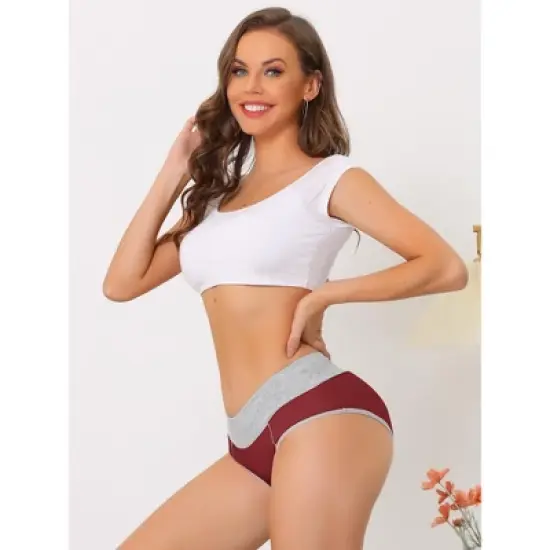 Agnes Orinda Women's 5 Packs High Rise Brief Stretchy Underwear image {3}