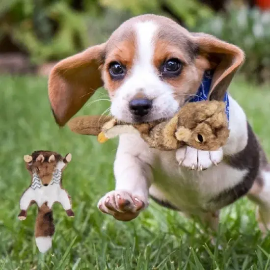 Allforpaws Classic Kill Fox Squeaky Plush Dog Toy, Brown image {5}