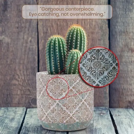 Inspirella 6.3 Inch Timeless Colorful Hand Painted Glazed Ceramic Round Indoor Outdoor Succulent Plant Pot with Drainage Hole and Plug image {4}