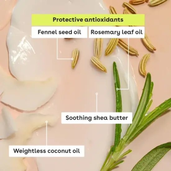 eos 100% Natural & Organic Lip Balm Variety Pack - Strawberry Sorbet, Pomegranate Raspberry, Sweet Mint, Vanilla Bean - 0.56oz/4pk image {4}