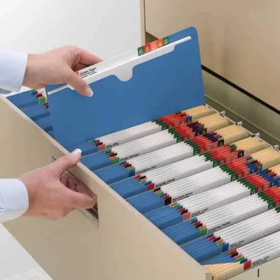 Smead File Jacket, Reinforced Straight-Cut Tab, Flat-No Expansion, Letter Size, 100 per Box image {10}