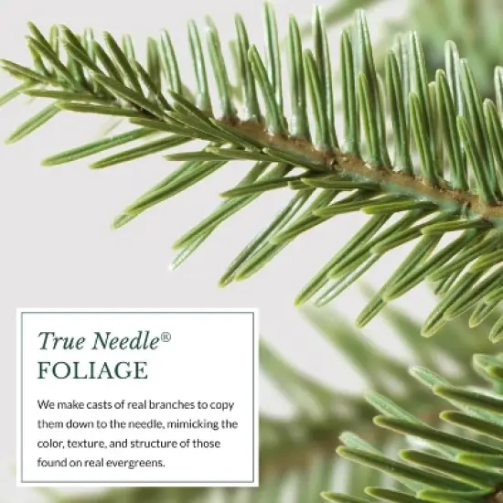 Balsam Hill Pre-Lit Alpine Balsam Artificial Christmas Tree image {12}