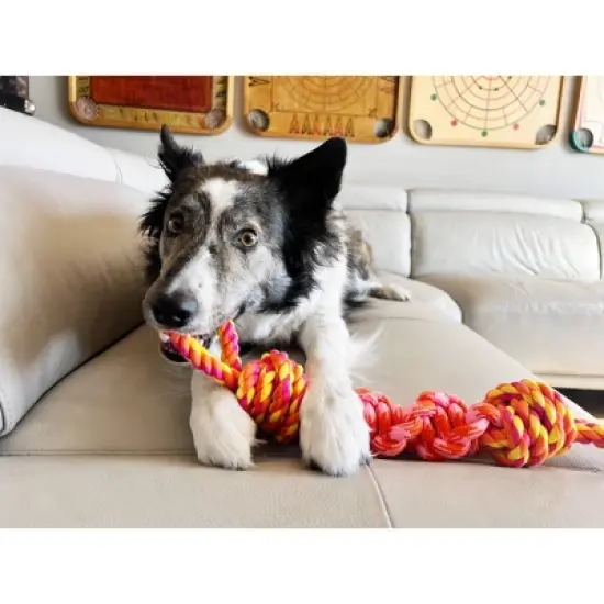 KONG Rope Bunji Dog Toy - M image {2}