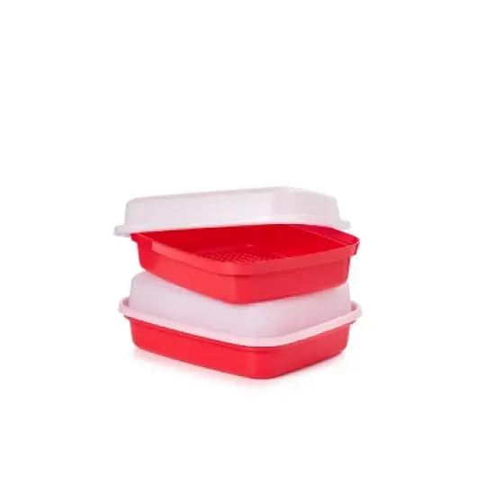 Tupperware Season Serve Marinating Food Storage Container:  Dishwasher-Safe, 12.5 Volume, Clear & Red image {2}