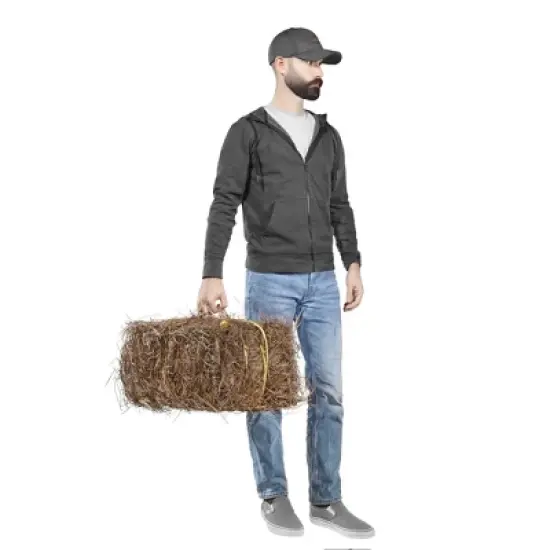 Garden Elements Long Leaf Pine Straw Bale for Mulch, Soil Amendment and Fall Decoration, 24.5" image {1}