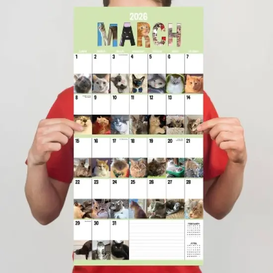 TF Publishing 13.5"x14.5" 2026 Cat-A-Day Wall Calendar image {3}