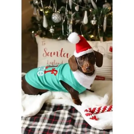 Parisian Pet Embroidered 'Elf Size Shirt' - Holiday Pet Apparel & Christmas Dog Clothes, Green image {2}
