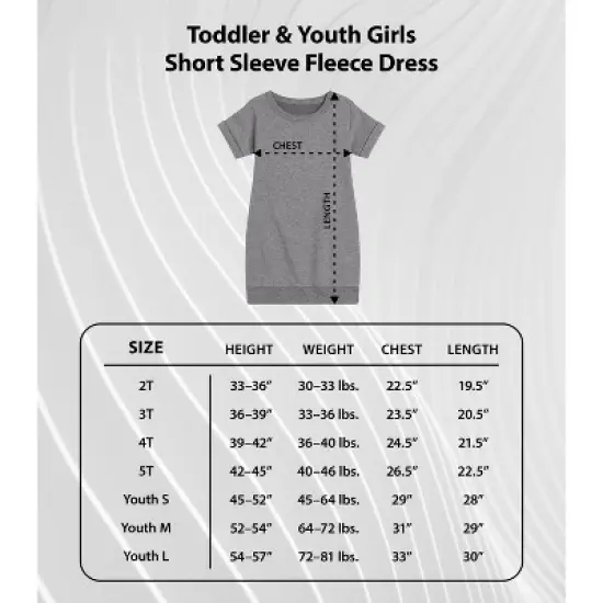 Girls' - Barbie - Holiday & Christmas Graphic Short Sleeve Fleece Dress image {3}