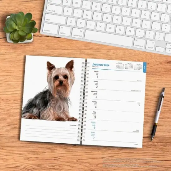 Browntrout 23-2024 Weekly/Monthly Planner 7.5"x7.125" Yorkshire Terriers image {3}