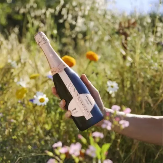 Chandon Brut Ros&eacute; Sparkling Wine - 750ml Bottle image {6}