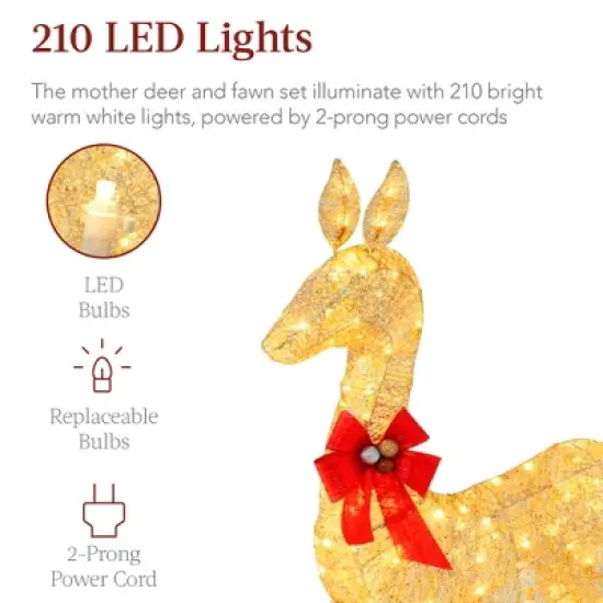 Best Choice Products 2-Piece Lighted Christmas Deer Set Outdoor Yard Decoration with 210 LED Lights, Stakes image {2}