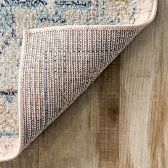 nuLOOM Chase Faded Vintage Medallion Area Rug image {6}