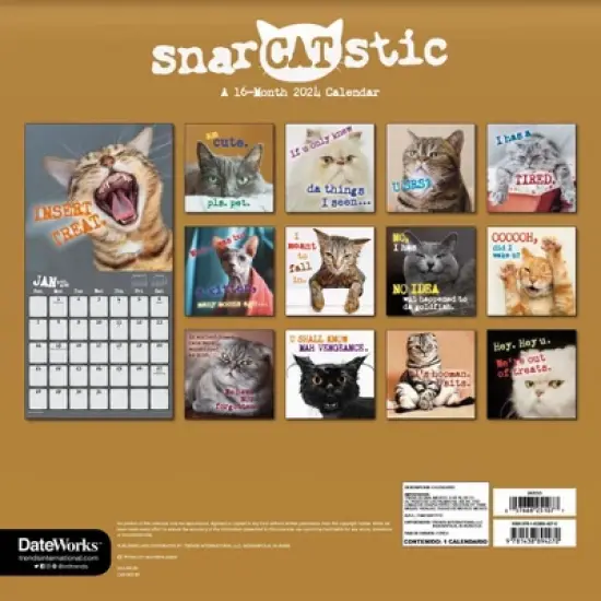 Trends International Inc. 2023-24 Wall Calendar 12"x12" Snarcatstic image {3}