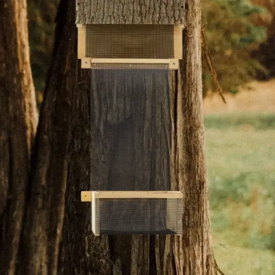 Uncle Dunkels Bat Pup Safety Net; Handmade Baby Bat Shelter Box Accessory image {1}