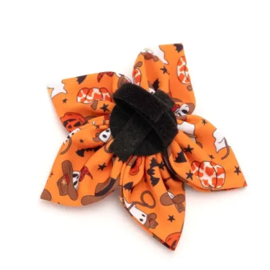 The Worthy Dog Howdyween Flower - Adjustable Pet Collar Accessory image {1}