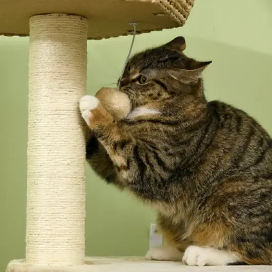SKYONE 47" Natural Cat Tree with Sisal Scratching Posts, Soft Cushion Beds, Multi-Level Platforms, image {6}