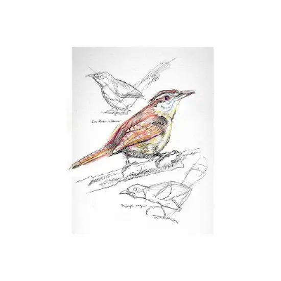 Pacon Art1st 9" x 12" Spiral Bound Sketch Book 30 Sheets/Book (103207) P103207 image {1}