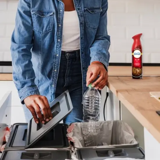 Febreze Air Mist - Baked Cinnamon Apples - 8.8oz image {6}