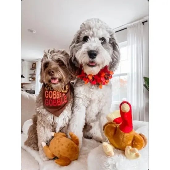 Midlee Roasted Thanksgiving Turkey Plush Dog Toy image {4}