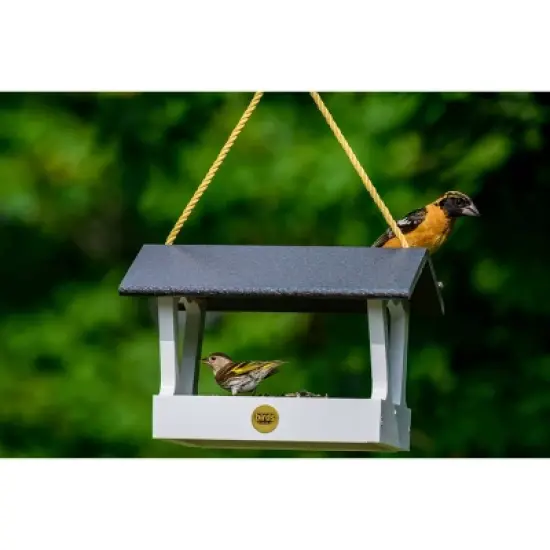 Bird Choice Modern Farmhouse Fly Thru Novelty Bird Feeder 7" image {5}