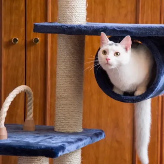 Armarkat 71" Navy Real Wood Cat Climbing Tower, Cat Scratching Furniture, A7101 image {3}