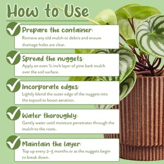 Soil Sunrise 100% Natural Pine Bark Mulch, for Container Gardening, Soil Supplement, Houseplants, Terrariums image {6}