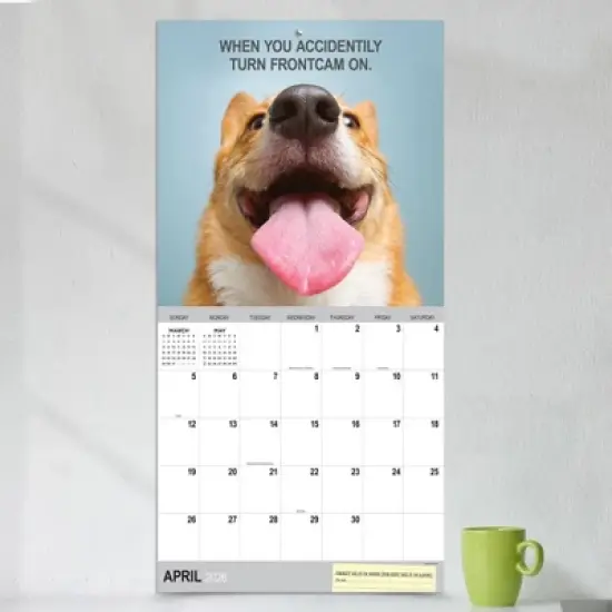 TF Publishing 13.5"x14.5" 2026 Desk Dogs Wall Calendar image {2}