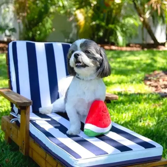 Midlee Smiley Watermelon Squeaker Plush Dog Toy - 5" image {2}