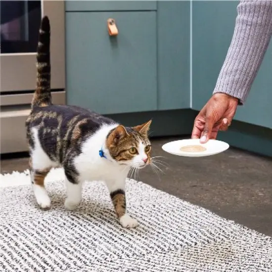 Temptations Creamy Puree with Salmon Lickable Squeezable Adult Cat Treats image {5}