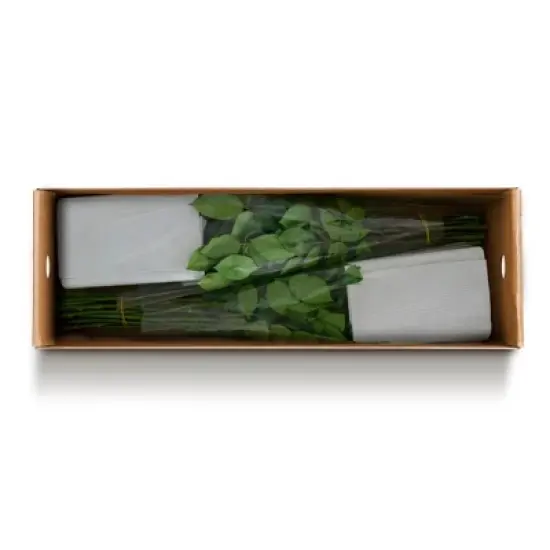 Fresh Cut Roses - 50 Stems image {8}