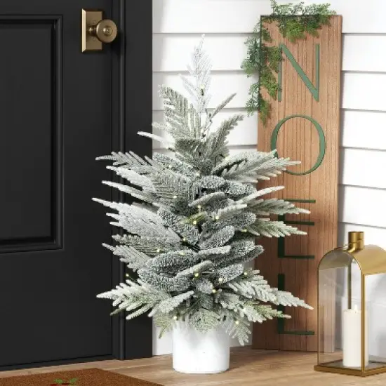 3' Pre-Lit Potted Flocked and Glittered Norfolk Artificial Christmas Tree - Wondershop&trade; image {1}