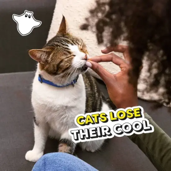 Temptations Tasty Human Haunted House with Chicken and Beef Flavor Halloween Cat Treats - 16oz image {8}