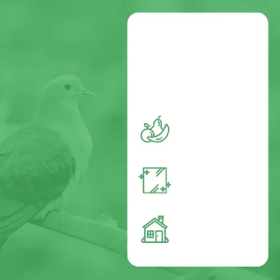 BIRD BLINDER 4" Steel Bird Spikes for Pigeons and Other Small Birds, Silver Set of 15 image {1}