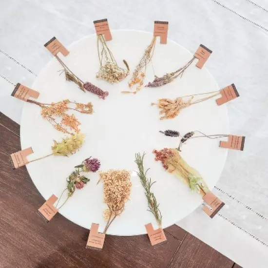 Celebration Mixed Gift Box Organic Tea in Stem image {1}
