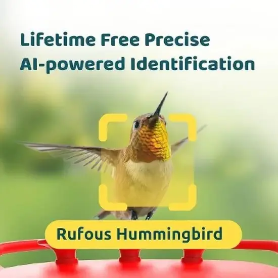 Birdfy Dual HD Camera Mounted 12" Hummingbird Feeder White: Weather-Resistant, UV-Protected, Easy to Assemble image {5}