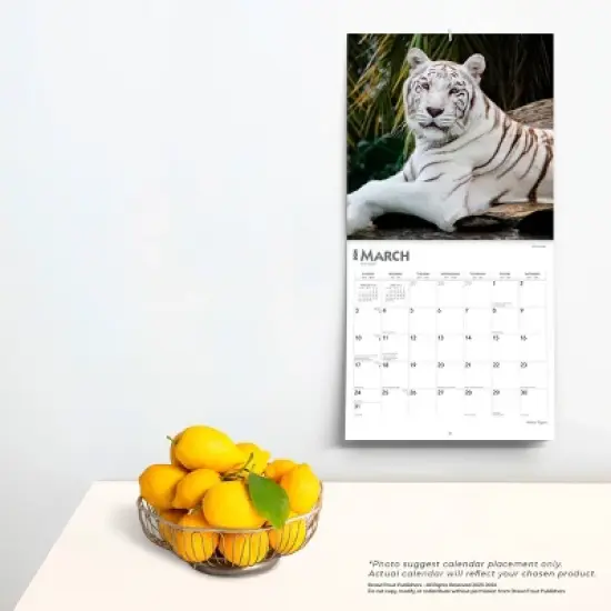 Browntrout 2024 Wall Calendar 12"x12" White Tigers image {3}