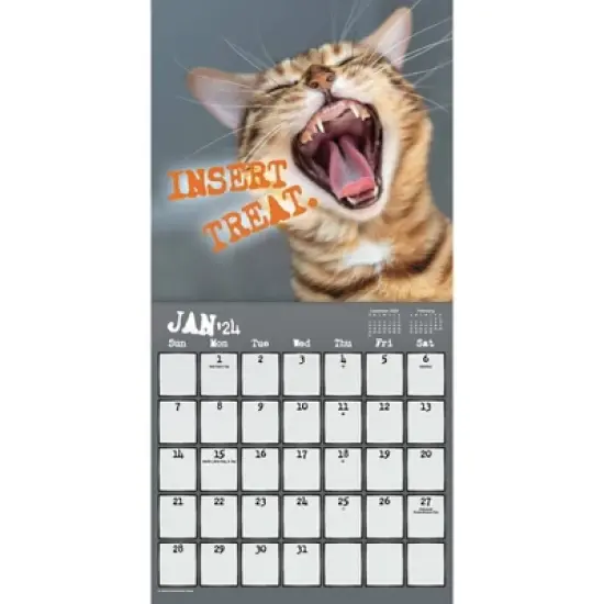 Trends International Inc. 2023-24 Wall Calendar 12"x12" Snarcatstic image {1}