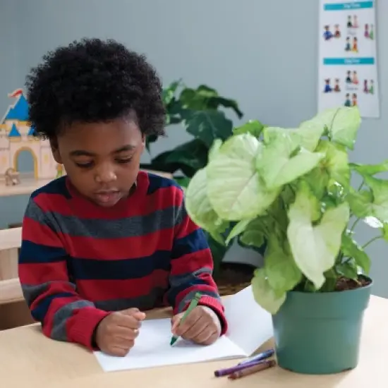 Kaplan Early Learning Standard Crayons Class Pack - 800 Per Box image {2}