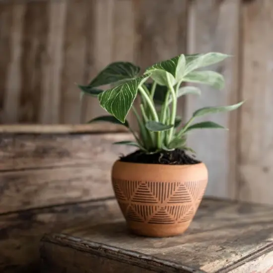 Terracotta Terracotta Planter - Foreside Home & Garden image {5}