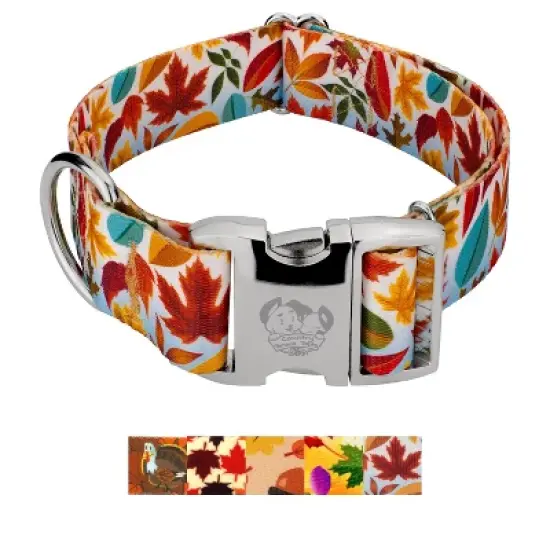 Country Brook Petz HossFit Jr Wide Premium Dog Collar - Awesome Autumn Collection image {4}