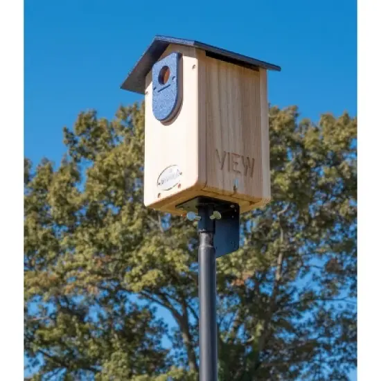 Cedar Ultimate Bluebird House (Blue) image {9}