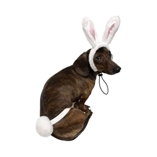 Midlee White Bunny Ears for Dogs with Tail image {2}